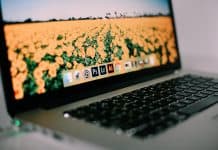 Understanding A Web Server And Types Of Web Servers